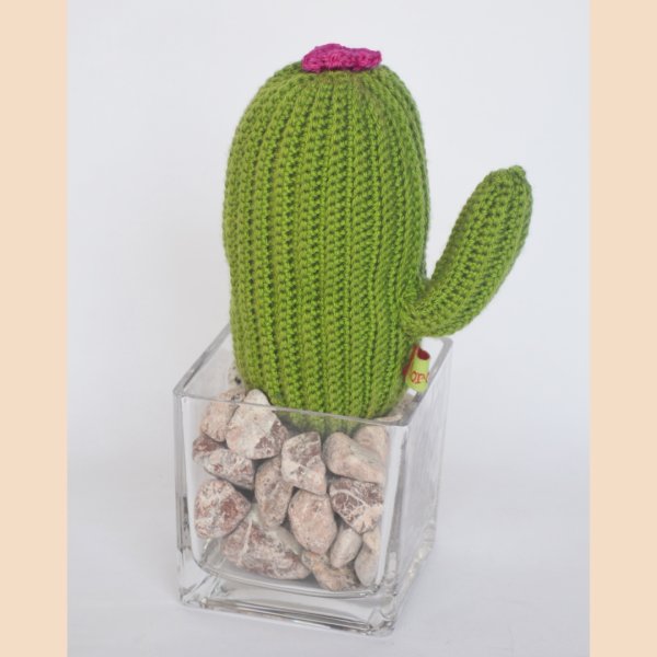Cubic Long Cactus-Purple
